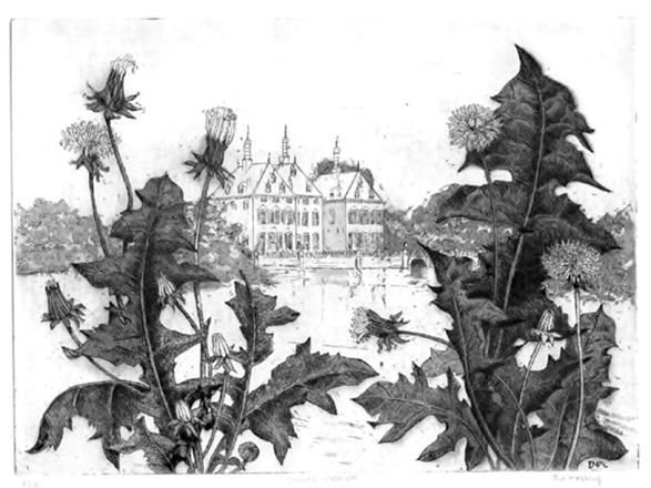 Ets_Paardebloem_voor_kasteel_DuivenvoordeA.JPG